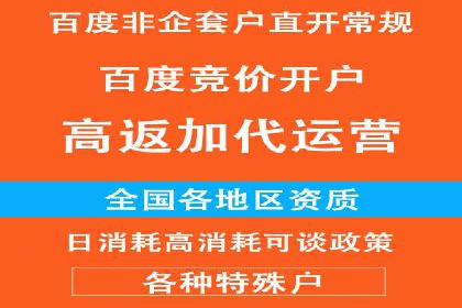 百度竞价排名案例揭秘：广告创意的重要性
